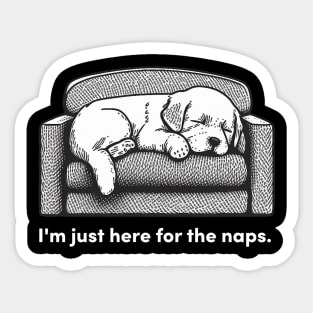 Napping Dog Sticker